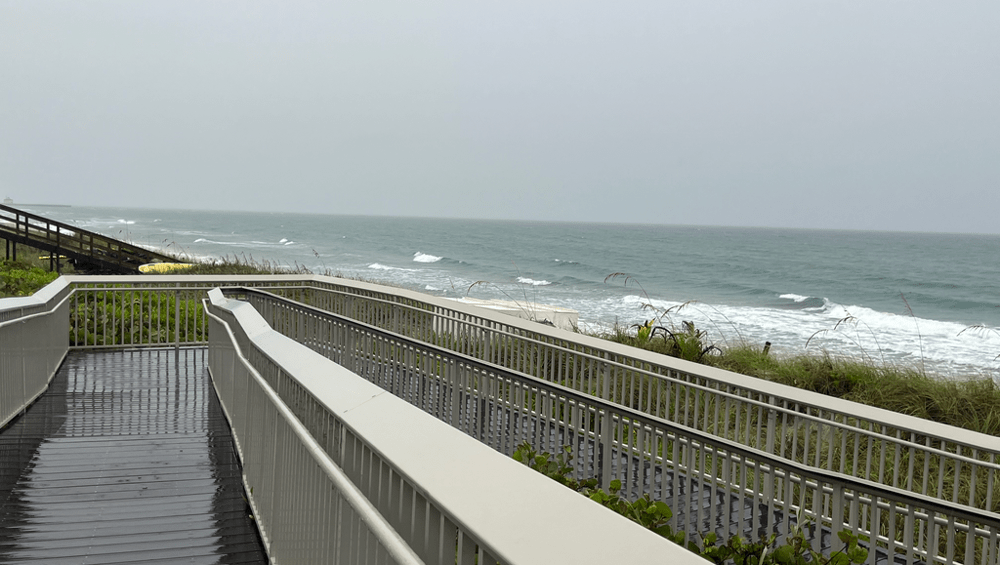 Southwest Florida’s Cannabis Economy: What’s Here Now and What’s Next